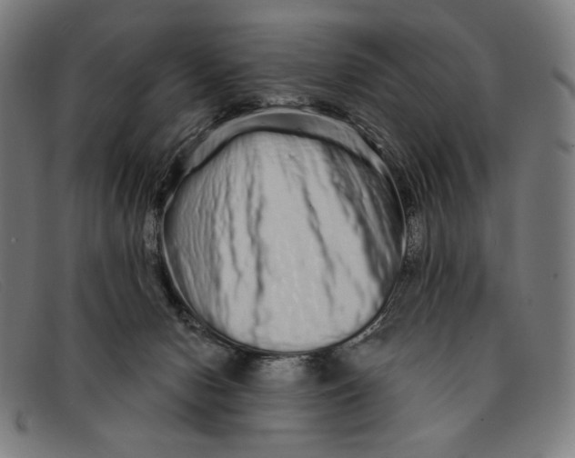 X0000091310078200708311405