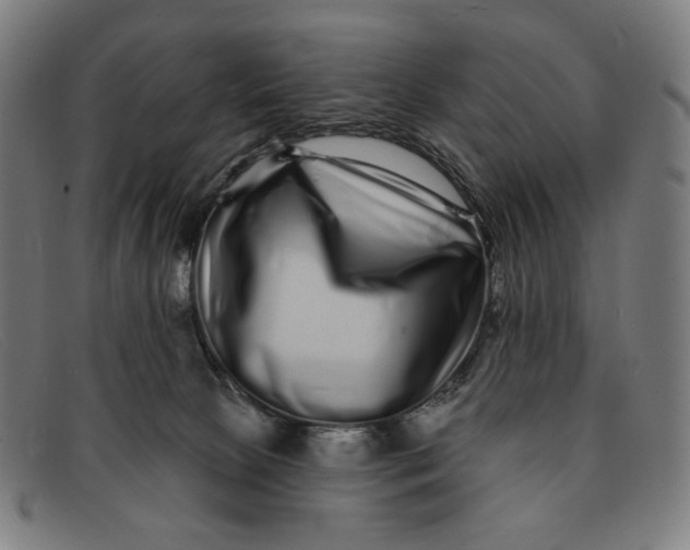 X0000091310081200708311405