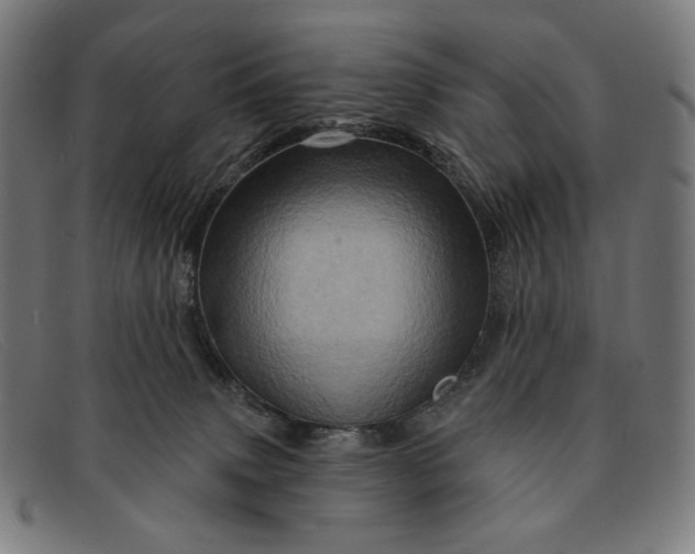 X0000091310083200708311405