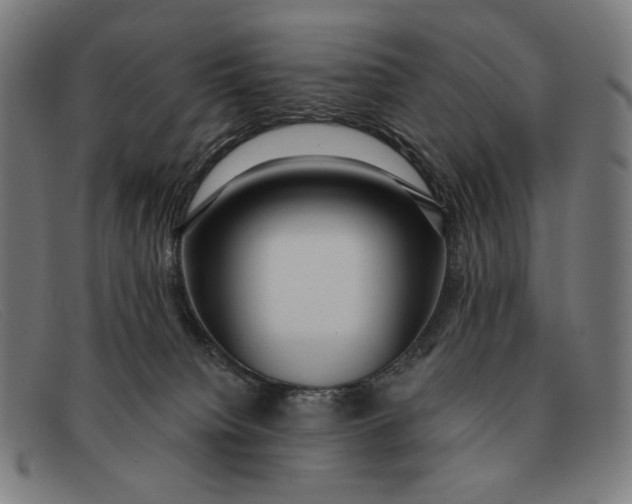 X0000091310084200708311405