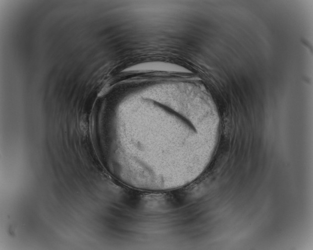 X0000091310085200708311405