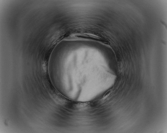 X0000091310086200708311405