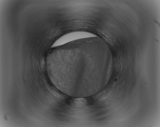 X0000091310087200708311406