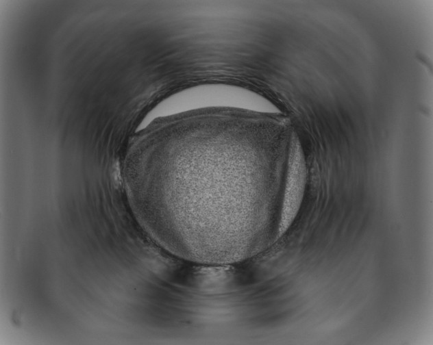 X0000091310089200708311406