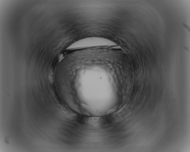 X0000091310090200708311406