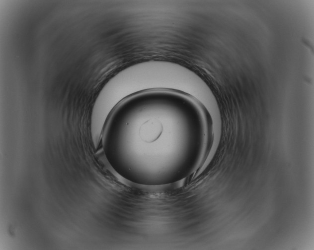 X0000091310092200708311406