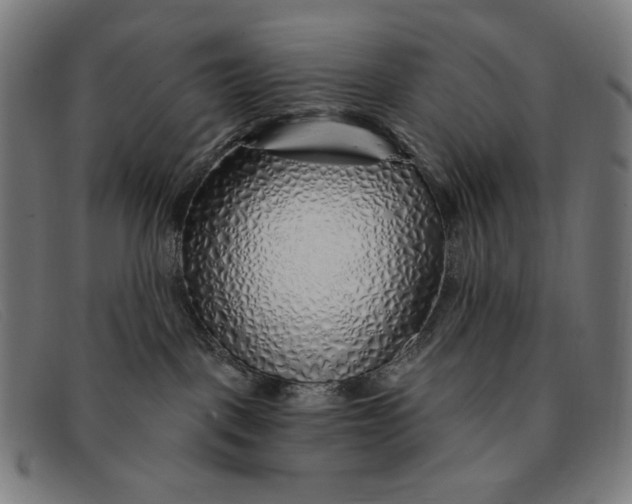 X0000091310093200708311406