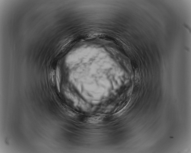 X0000091310094200708311406