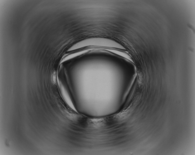 X0000091310095200708311406