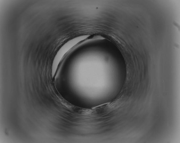 X0000091310096200708311406