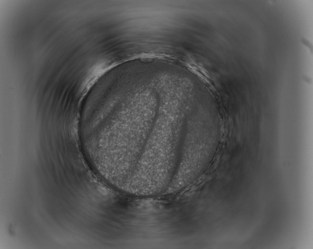 X0000091310098200708311405