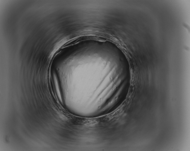 X0000091310099200708311405