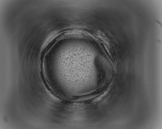 X0000091310101200708311405