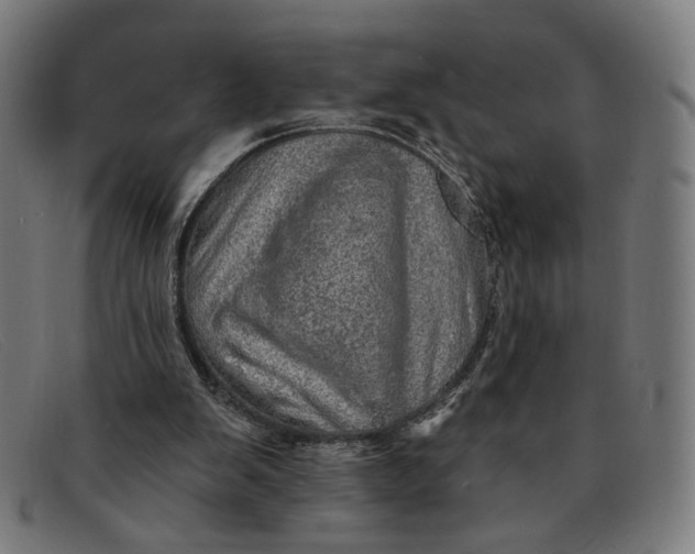 X0000091310103200708311405