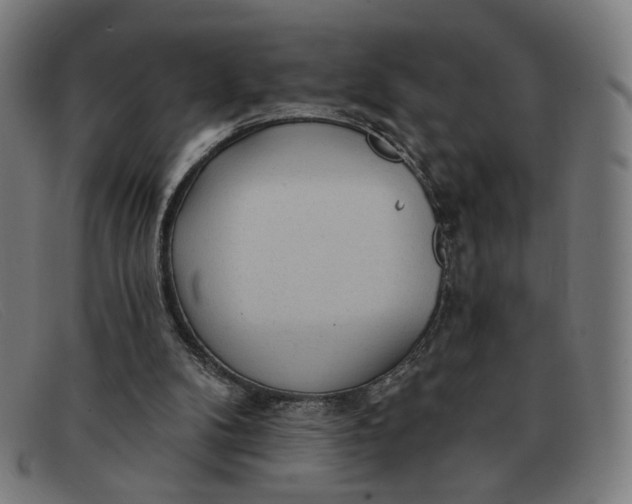 X0000091310104200708311405