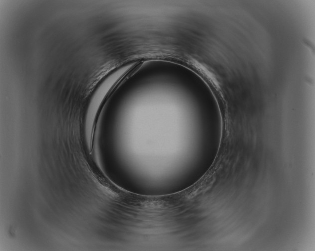 X0000091310105200708311405