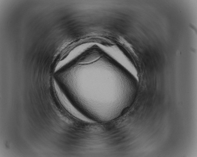 X0000091310106200708311405