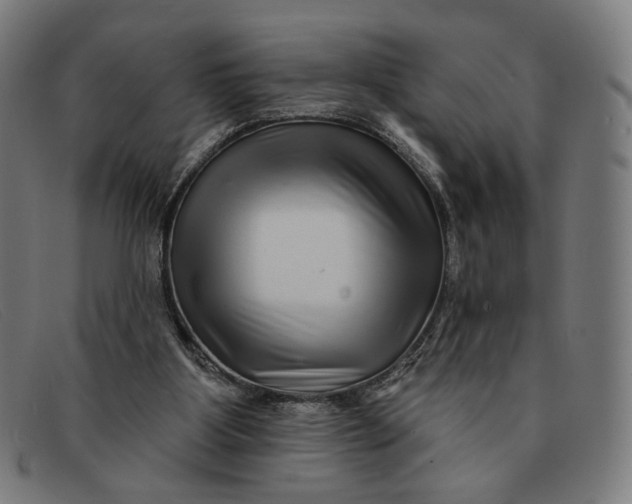 X0000091310107200708311405