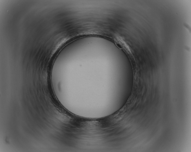 X0000091310108200708311405