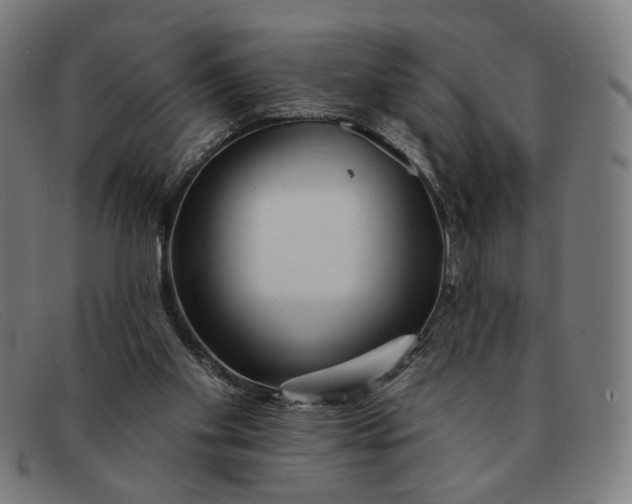 X0000091310109200708311405