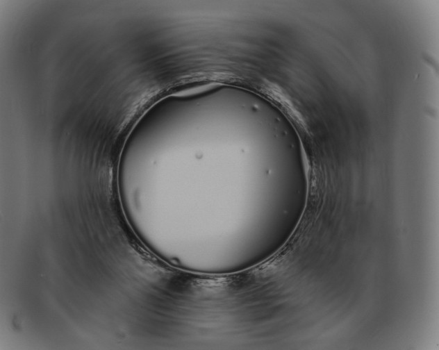 X0000091310110200708311405