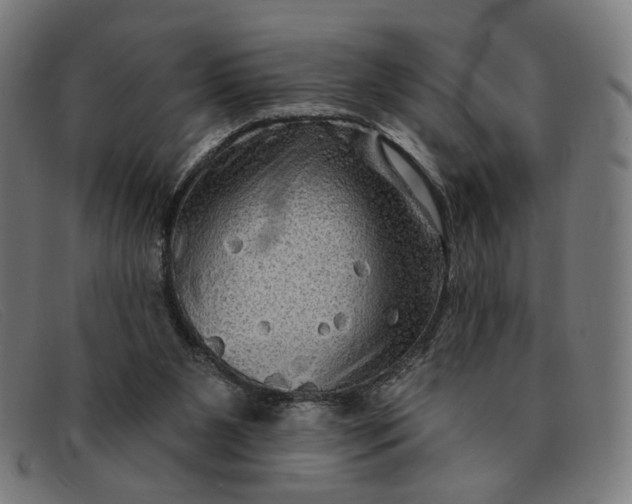 X0000091310111200708311405