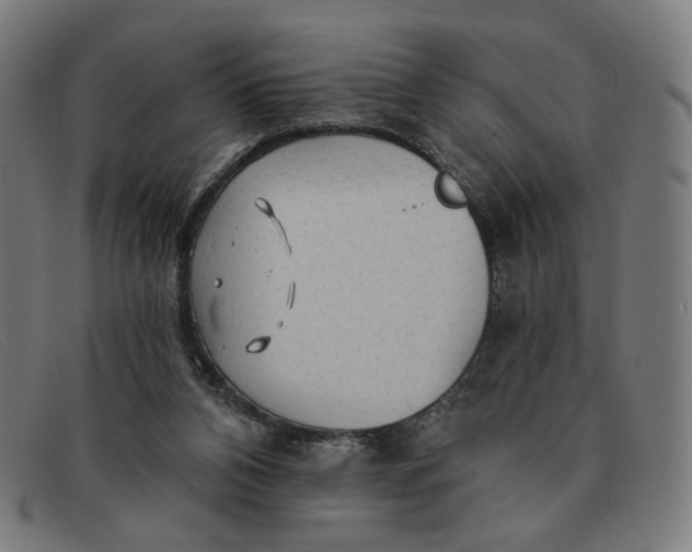 X0000091310112200708311405