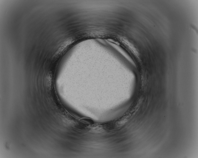 X0000091310113200708311405