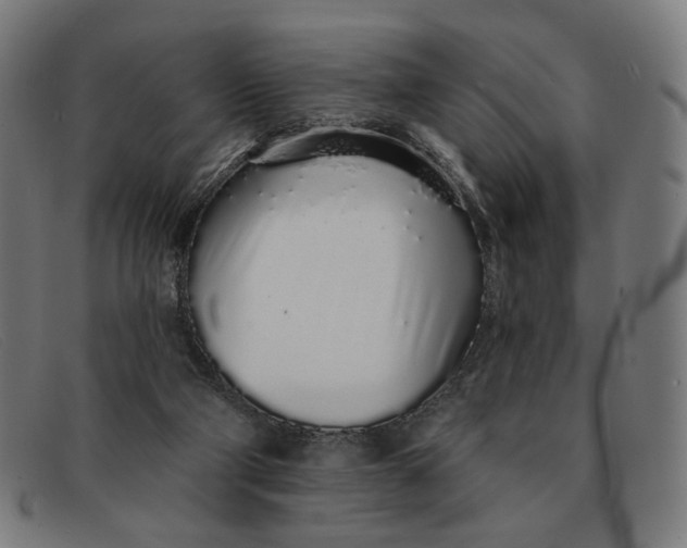 X0000091310114200708311405