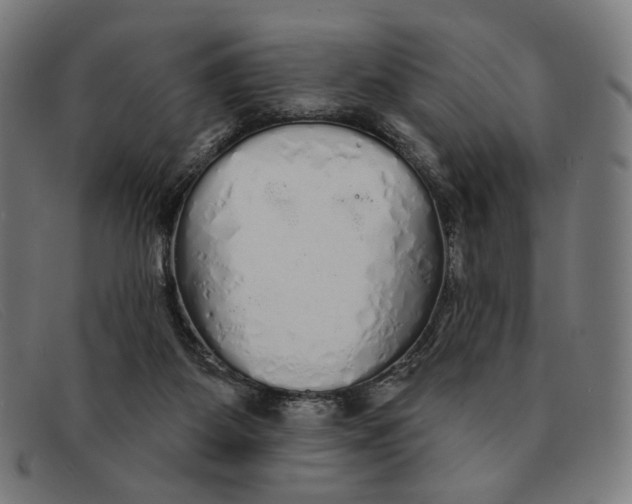 X0000091310115200708311405