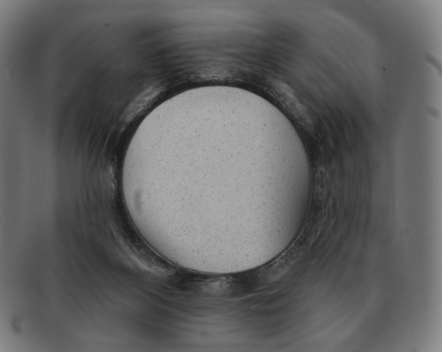 X0000091310116200708311405