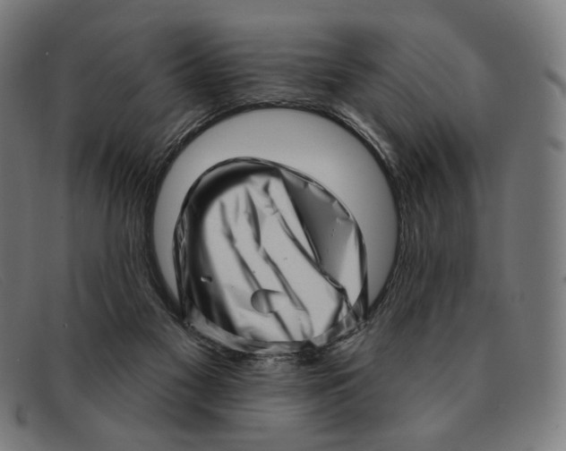 X0000091310117200708311405