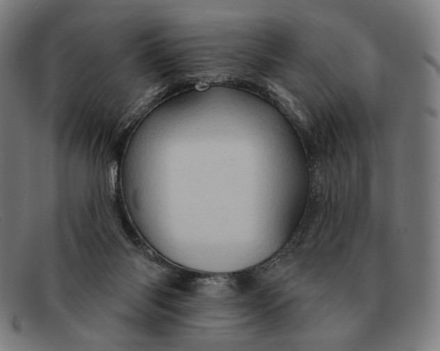 X0000091310118200708311405