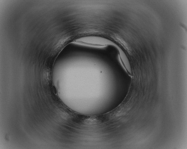 X0000091310119200708311405