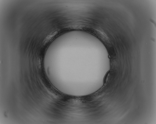 X0000091310120200708311405