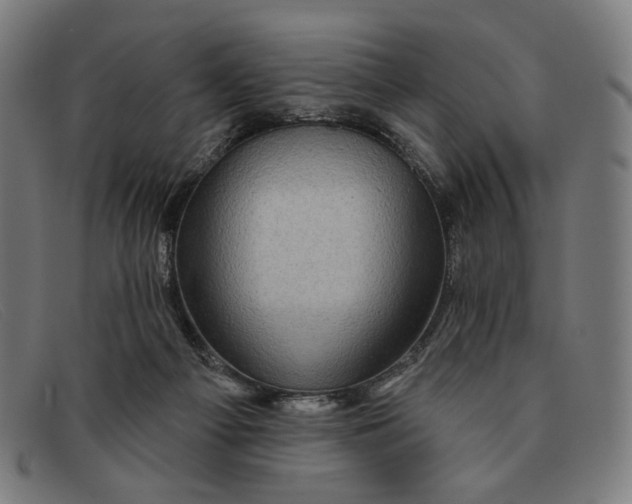 X0000091310121200708311405