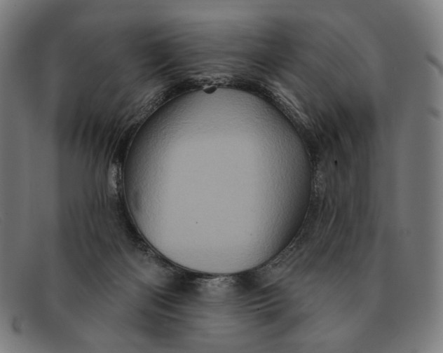 X0000091310122200708311405