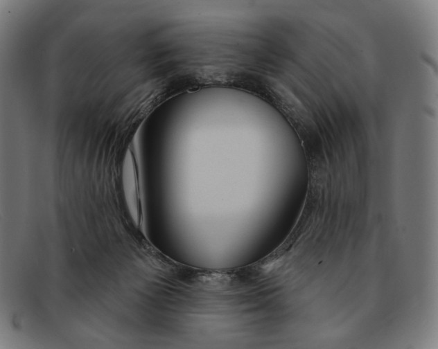 X0000091310125200708311405