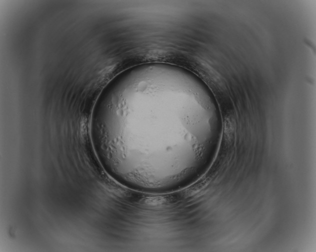 X0000091310127200708311405