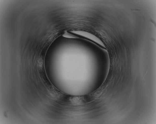 X0000091310129200708311404