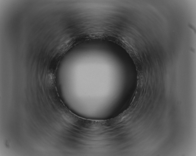 X0000091310130200708311404