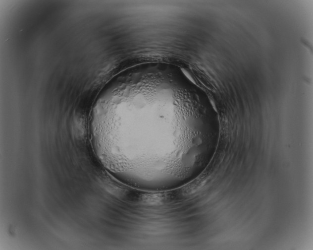 X0000091310131200708311404