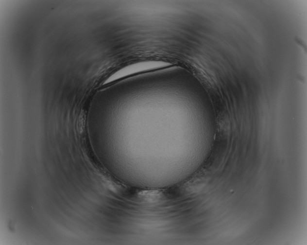 X0000091310133200708311404