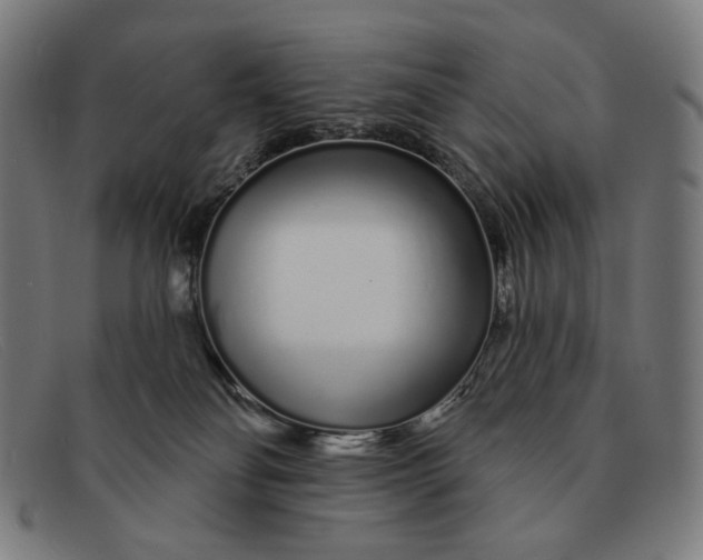 X0000091310134200708311404