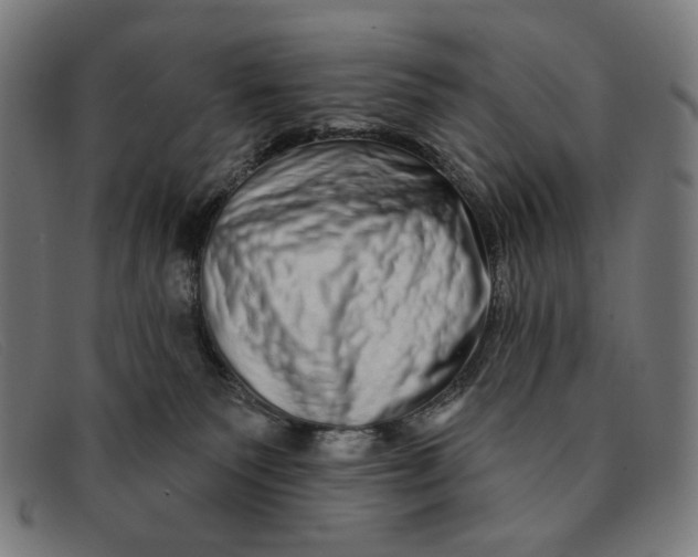 X0000091310135200708311404