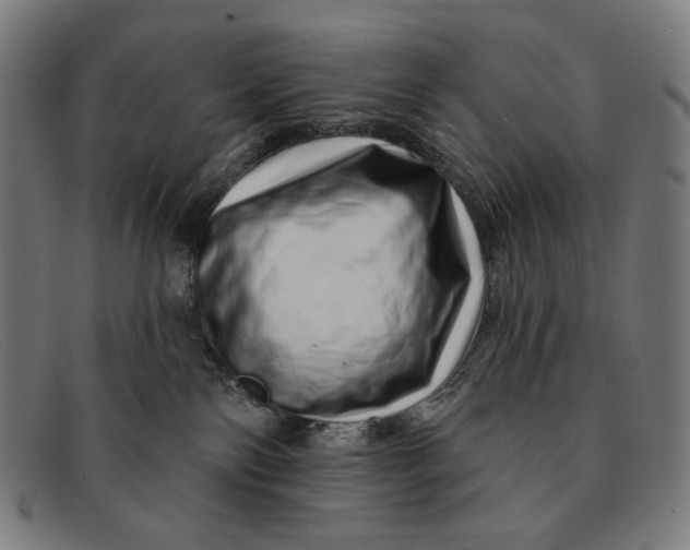 X0000091310138200708311404