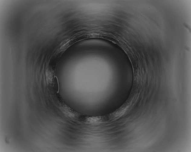 X0000091310139200708311404