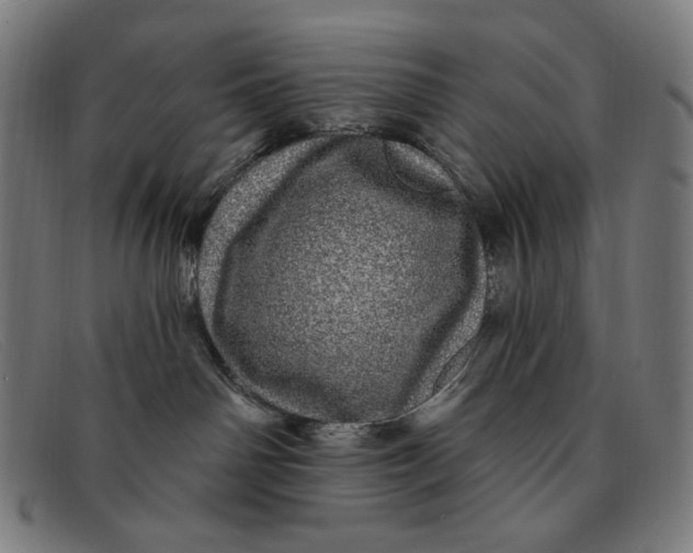 X0000091310142200708311404