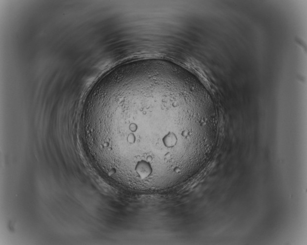 X0000091310145200708311404