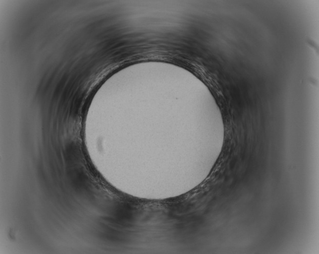 X0000091310146200708311404